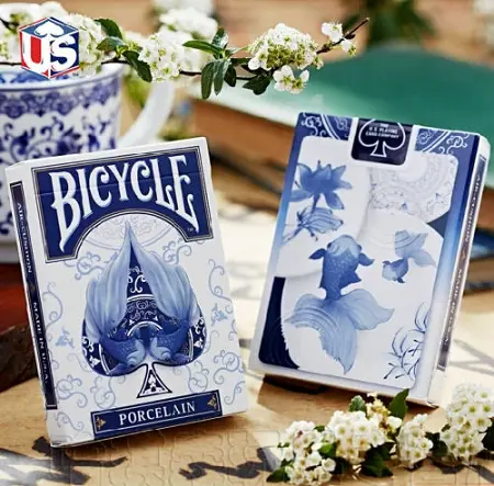 bicycleporcealin.webp