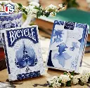 bicycleporcealin.webp