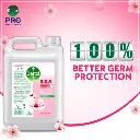Detto_hand wash Image_4.webp