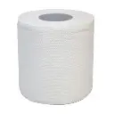 TOILET ROLL  EMBOSS 2PLY ECOLINE 200 SHEETS  (10 ROLLS X 10 PKTS)