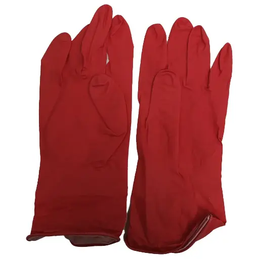 RUBBER GLOVES ECOLINE 12X1PK
