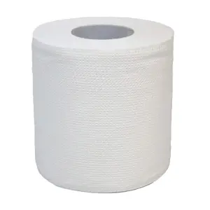 [P000035] TOILET ROLL  EMBOSS 2PLY ECOLINE 200 SHEETS  (10 ROLLS X 10 PKTS)